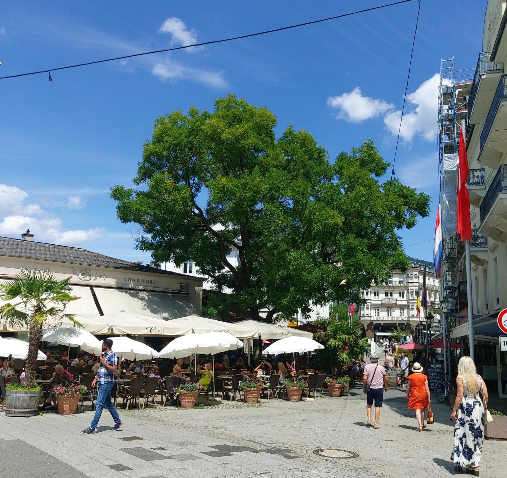 Gemuetliches J&L Apartment Nahe Des Hauptbahnhofes Baden-Baden Bagian luar foto
